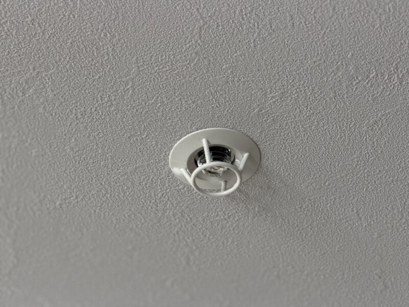 20260308-6 スプリンクラーヘッドのカバー